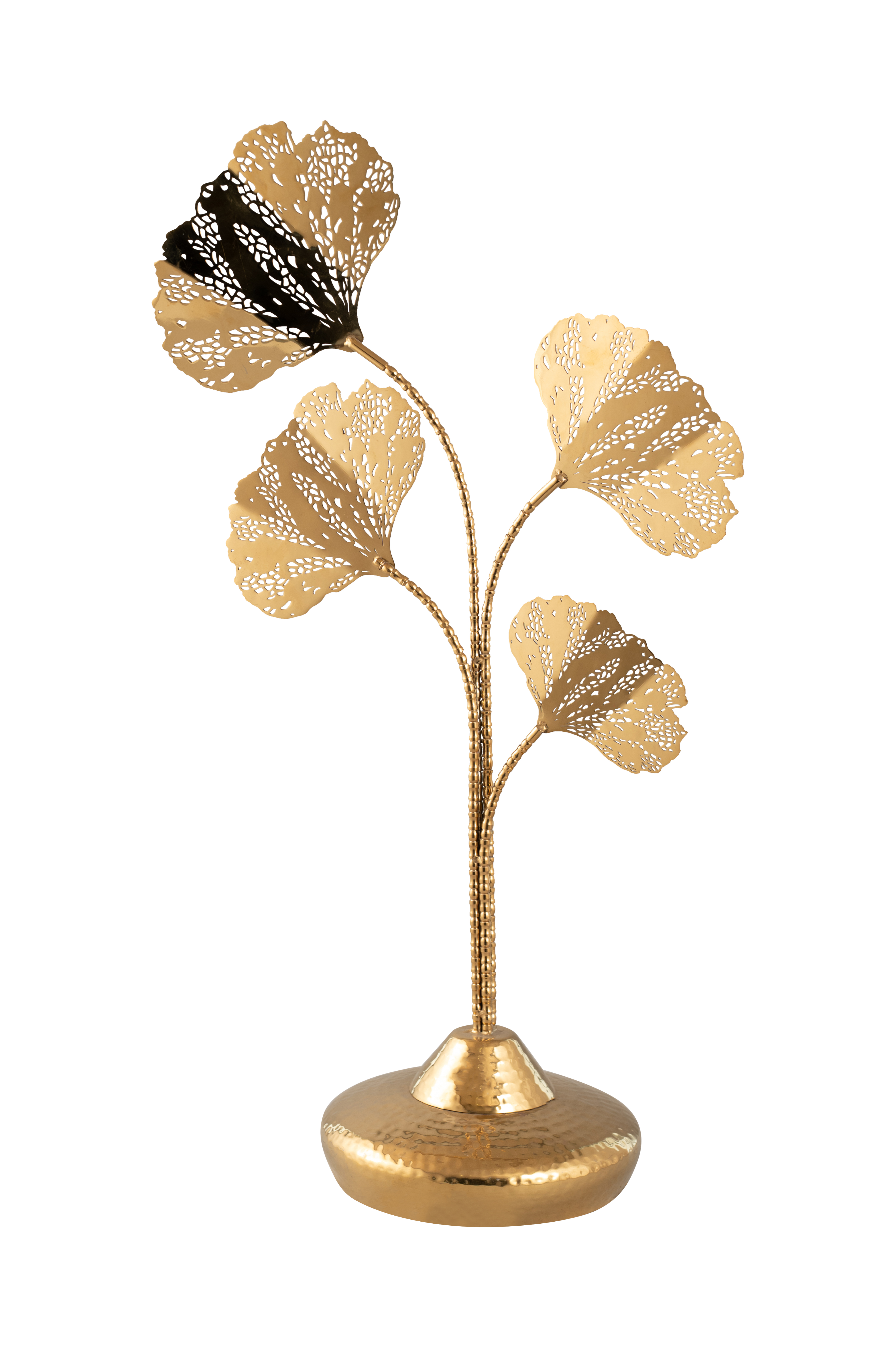 Article 4 Patta Leaf